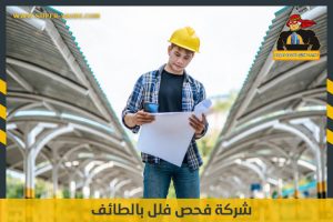 شركة فحص فلل بالطائف