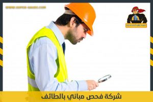 شركة فحص مباني بالطائف